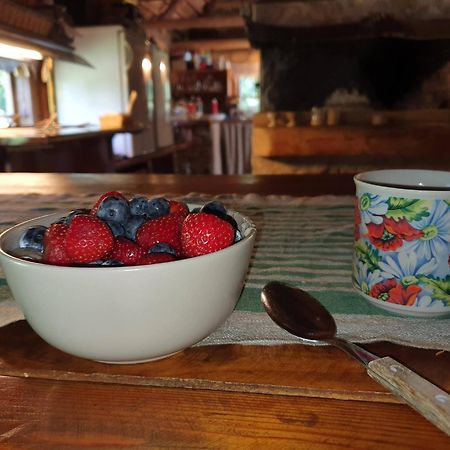 Anni Tourism Farm Villa Tammese Eksteriør billede