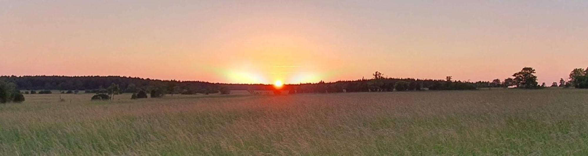 Anni Tourism Farm Villa Tammese Eksteriør billede