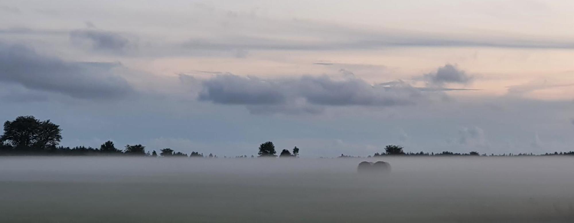 Anni Tourism Farm Villa Tammese Eksteriør billede