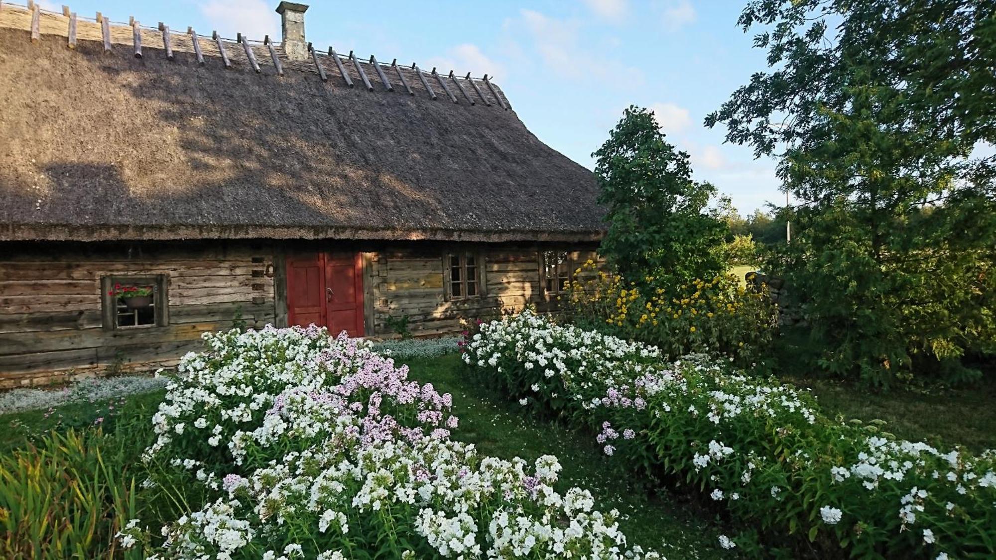 Anni Tourism Farm Villa Tammese Eksteriør billede