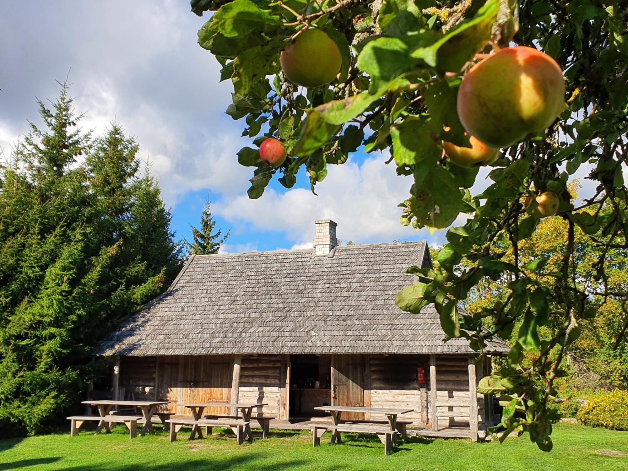 Anni Tourism Farm Villa Tammese Eksteriør billede